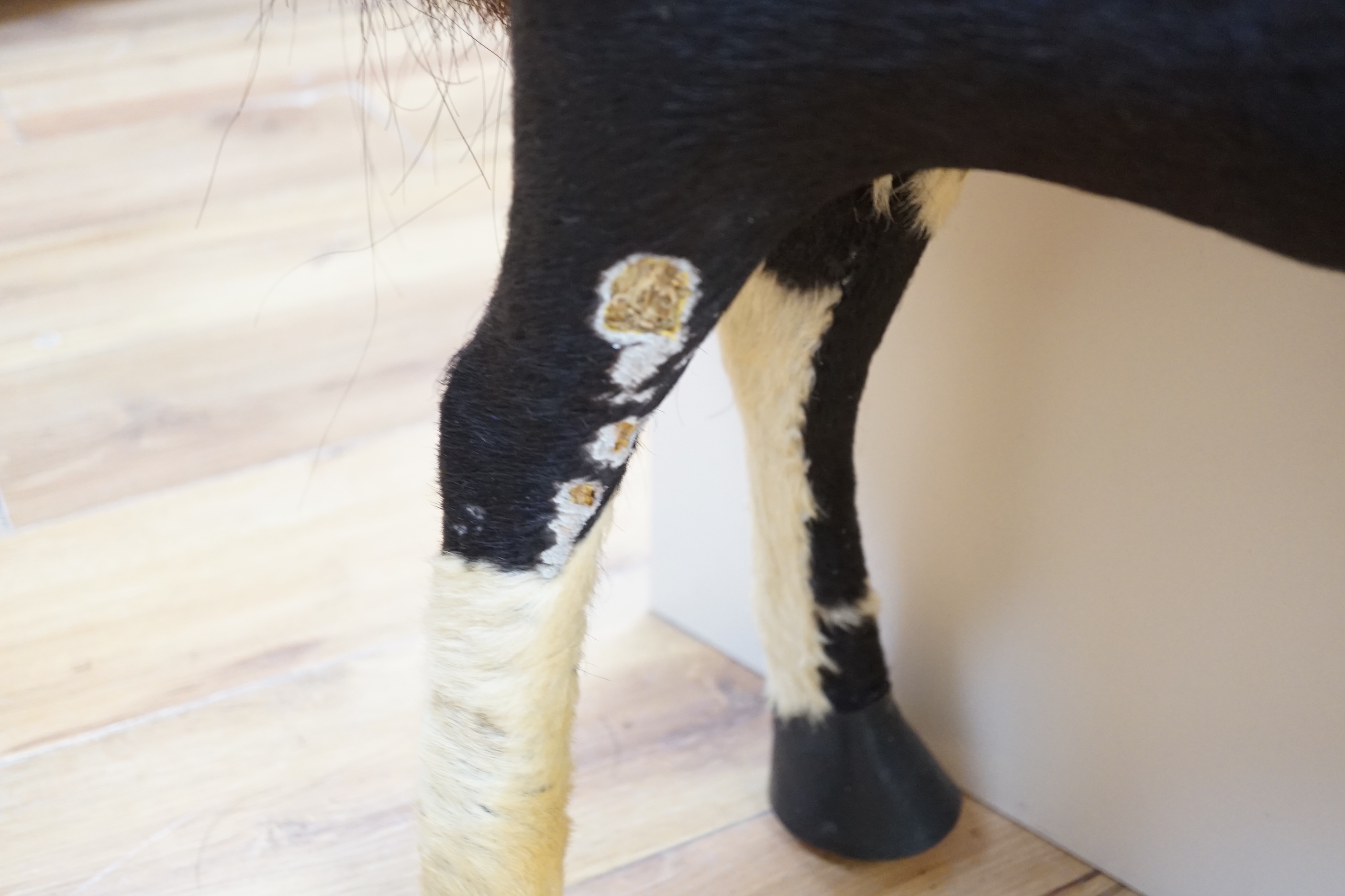 A wood and skin-covered model pony, height 75cm